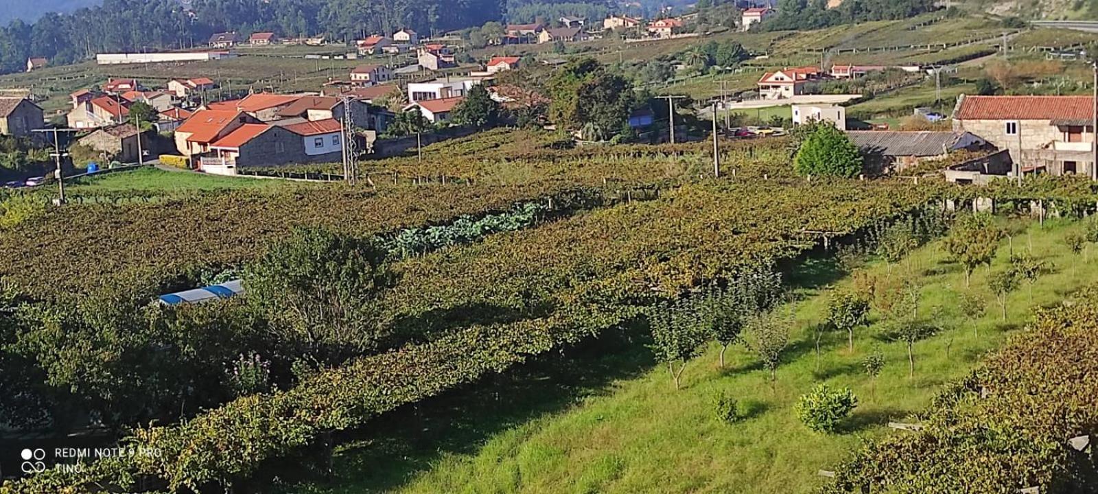 Casa Rodino 2* Meaño